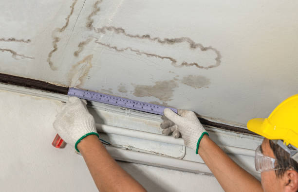 Reliable Water Damage Repair contractor in Springfield, VA by Aqua Guard Water Damage